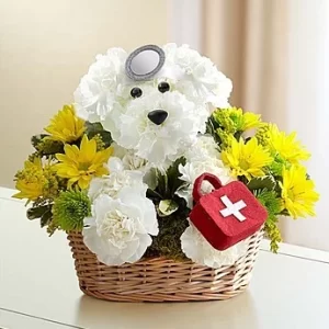 Doggie Howser M.D. Dog Flower Basket