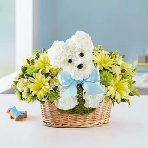 It's A-DOG-able (Boy or Girl) Dog Flower Basket