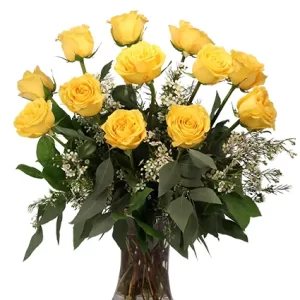 Dozen Yellow Roses