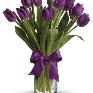 Passionate Purple Tulips