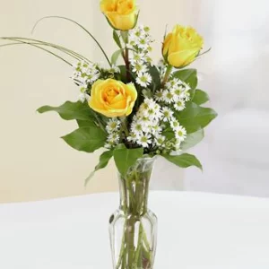 Rose Elegance - Yellow