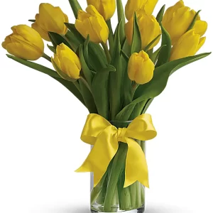 Sunny Yellow Tulips
