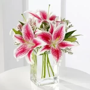 FTD Pink Stargazer Lily