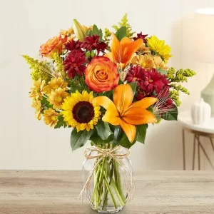 Fields of Europe - Fall